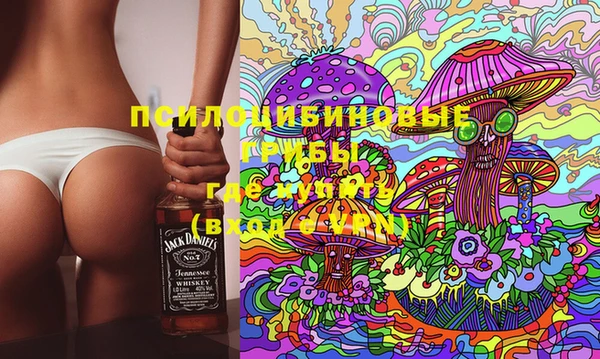 дурь Костерёво