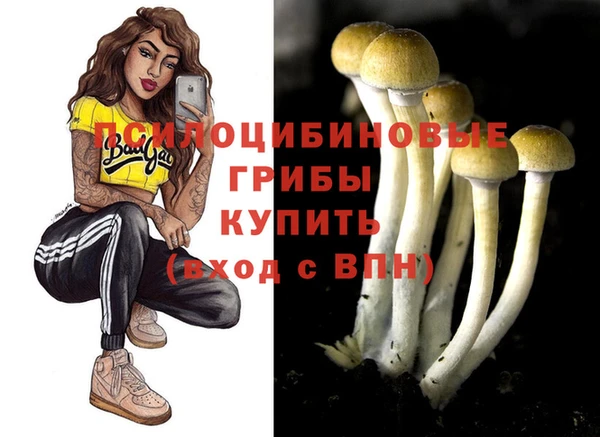 герыч Коряжма