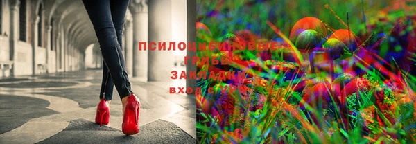 дурь Костерёво