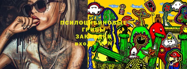 дурь Костерёво