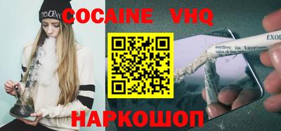 сатива Кингисепп