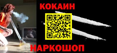 сатива Кингисепп