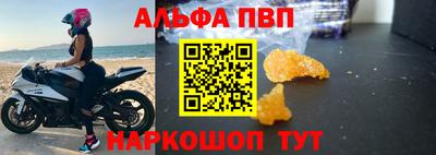 сатива Кингисепп