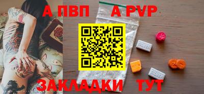 сатива Кингисепп