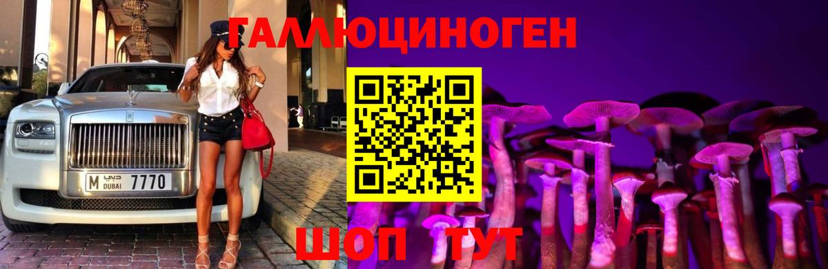 Галлюциногенные грибы ЛСД Солнечногорск